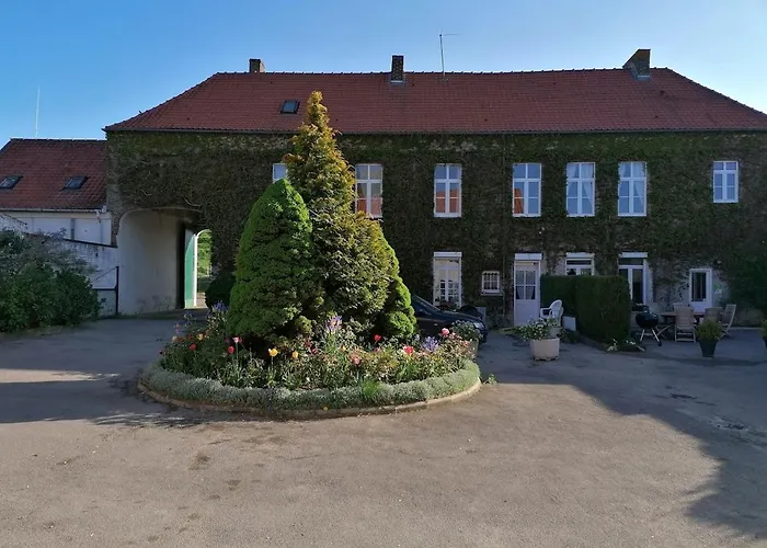 Du Mont Des Faucons