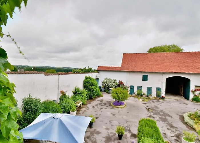 Du Mont Des Faucons *